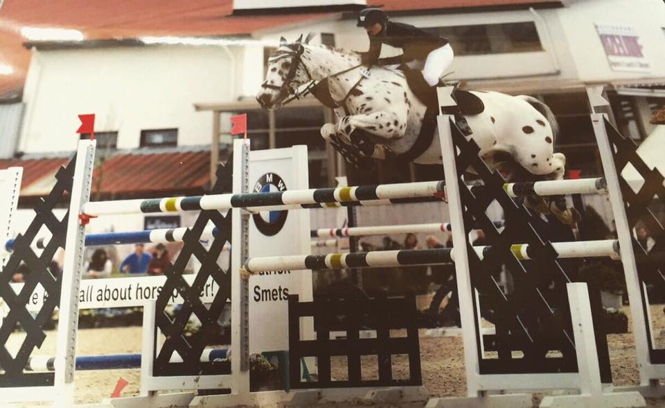 Appaloosa Showjumping Pony - Spot The Okehurst